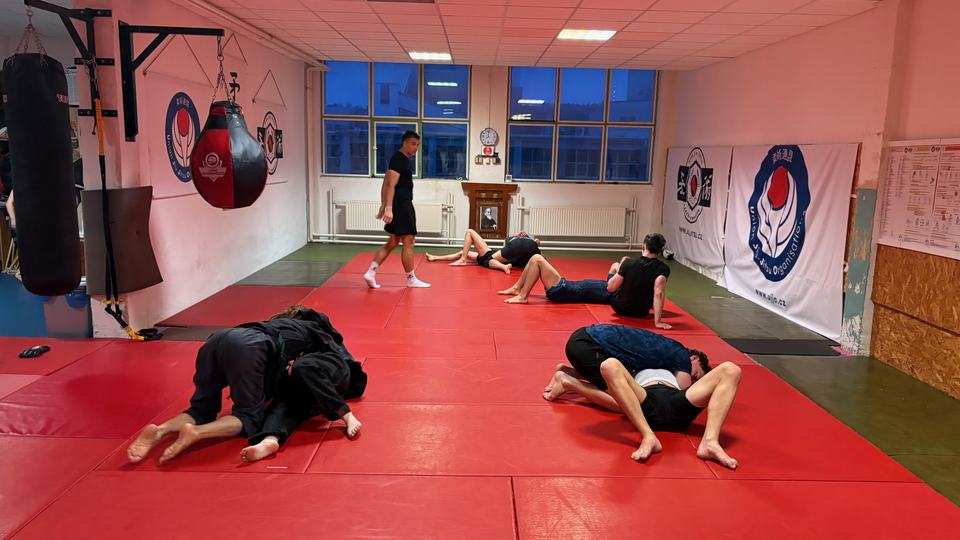 Trénink na tatami, několik dvojic při nácviku